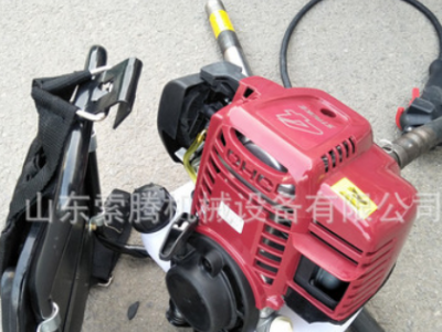 輕便背負(fù)式汽油振動(dòng)棒 高端背負(fù)式混凝土振動(dòng)器 落地式震動(dòng)棒