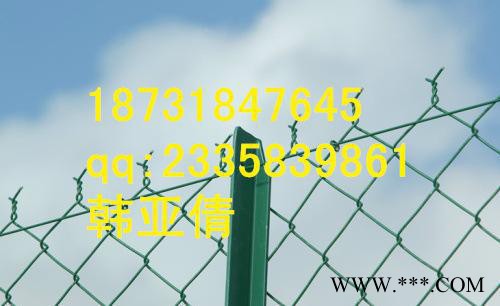 專業(yè)的電鍍鋅-勾花網(wǎng)、熱鍍鋅-勾花網(wǎng)、包塑勾花網(wǎng)就在晟友