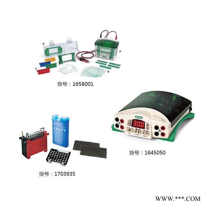 Biorad/美國伯樂165-8001電泳儀,電泳電源,電泳槽,水平電泳槽,電泳儀廠家