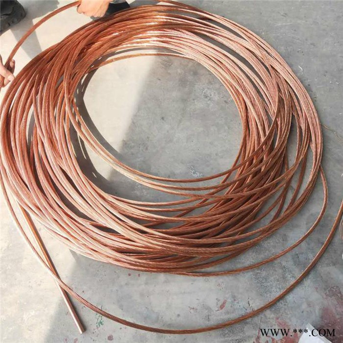 晴美銅包鋼絞線電鍍銅絞線防雷120平方引下線鍍銅鋼接地圓線防雷剛絞價(jià)格優(yōu)惠