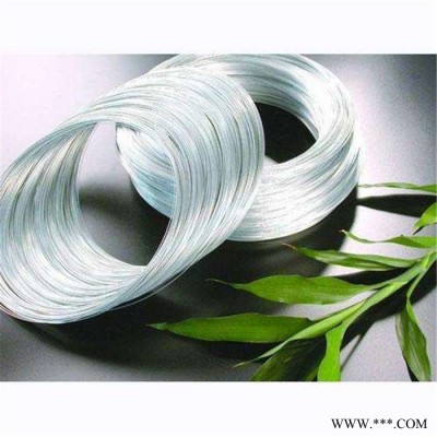 直銷定制  電鍍鋅絲  亞慷  鍍鋅絲批發(fā)  鍍鋅絲  鍍鋅鐵絲  價(jià)格實(shí)惠