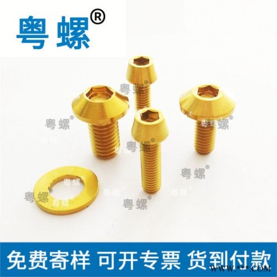 圓柱頭內六角鈦螺栓 粵螺氮化陽極氧化處理各種顏色魚尾螺絲 汕頭不銹鋼螺絲廠 小螺絲